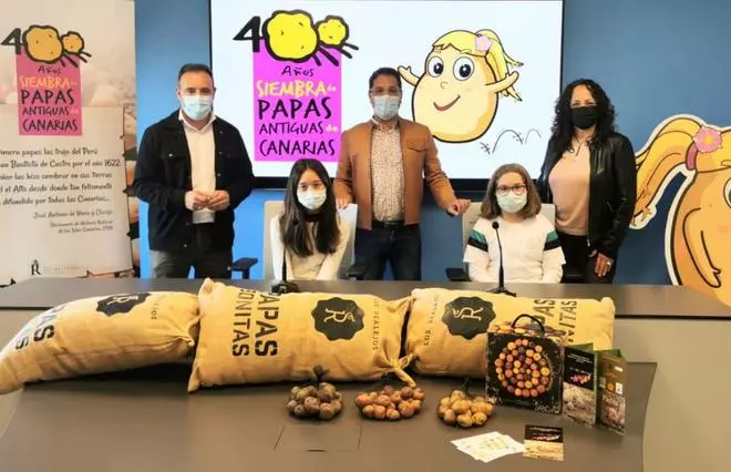Comienzan los preparativos para festejar la llegada de la papa bonita