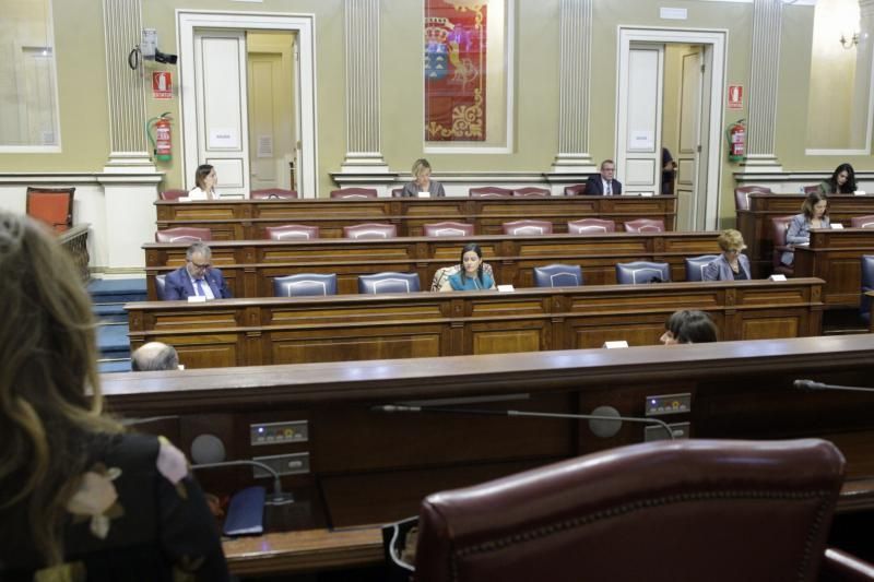 Pleno del Parlamento de Canarias  preside Gustavo Matos , presidente del gobierno , Victor Torres   | 19/05/2020 | Fotógrafo: Delia Padrón