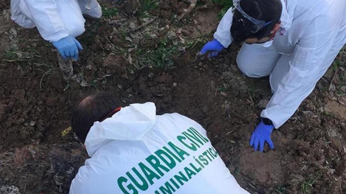 Guardias civiles en el paraje de Rojales donde encontraron enterrado el cadáver del irlandés asesinado en Torrevieja.