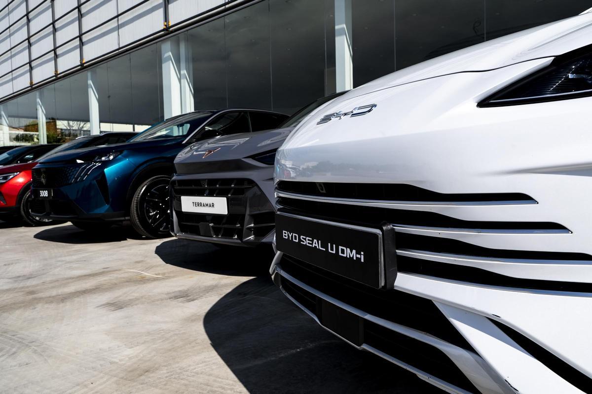 Coches de las marcas Peugeot, Opel, Citröen, Seat, Cupra, Kia y BYD.