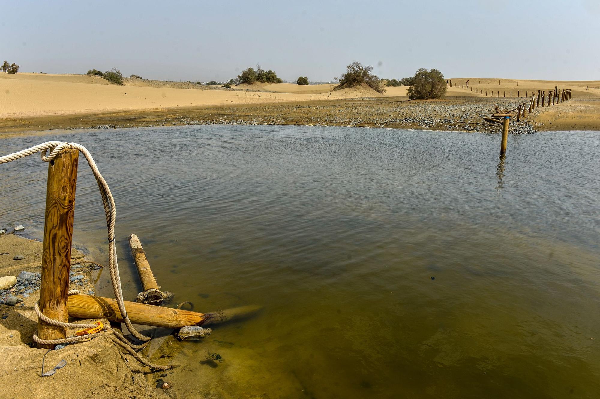 La Charca de Maspalomas después del ciclón Hermine