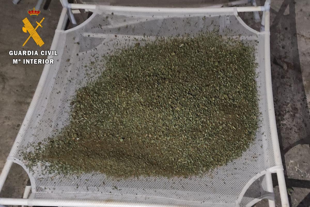 Marihuana encontrada en las instalaciones de Caspe