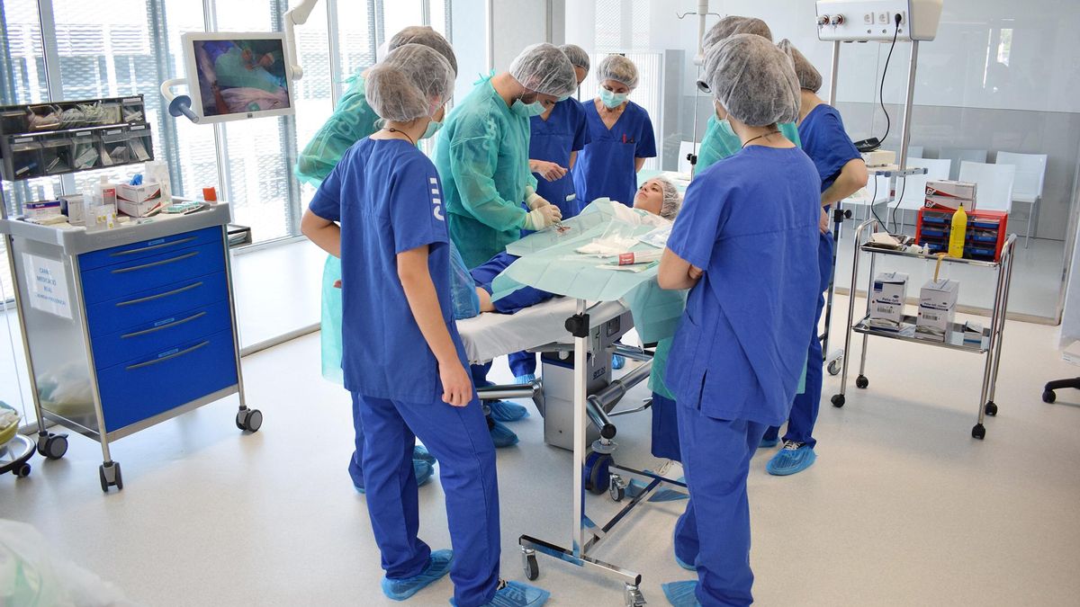 Los cursos son semipresenciales y se complementan con prácticas en centros o clínicas