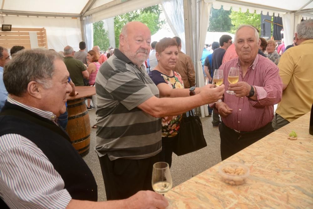 Fiestas gastronómicas en Pontevedra | La VII Mostra do Viño de Vilaboa reúne a 14 cosecheros