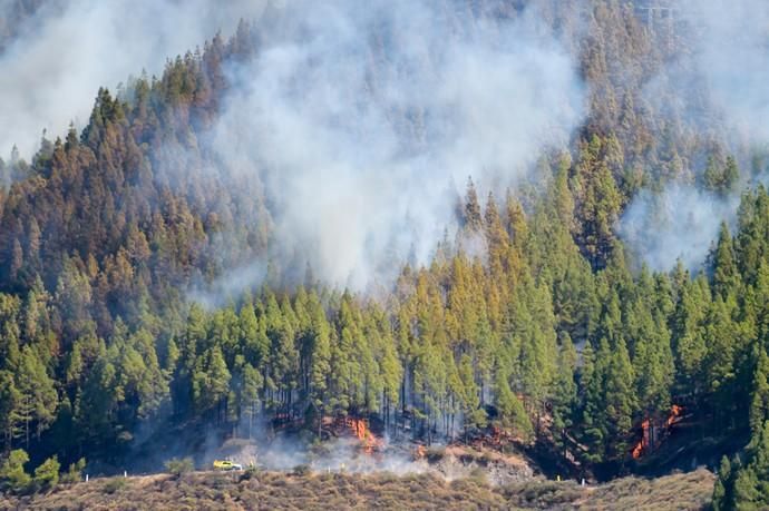 10-08-2019 ARTENARA. Incendio en la cumbre de Gran Canaria  | 10/08/2019 | Fotógrafo: Andrés Cruz