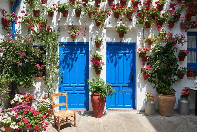 Festival de los patios, Córdoba