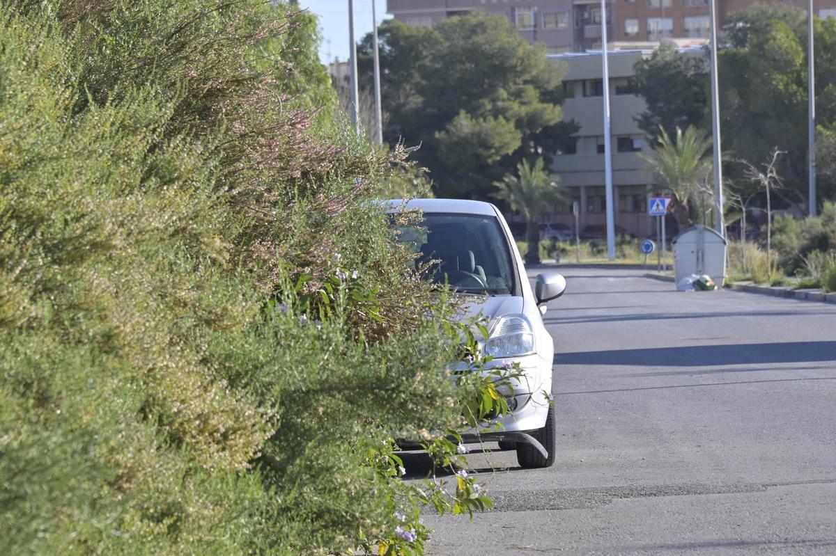 Estado que presentaba hace días la calzada junto al solar