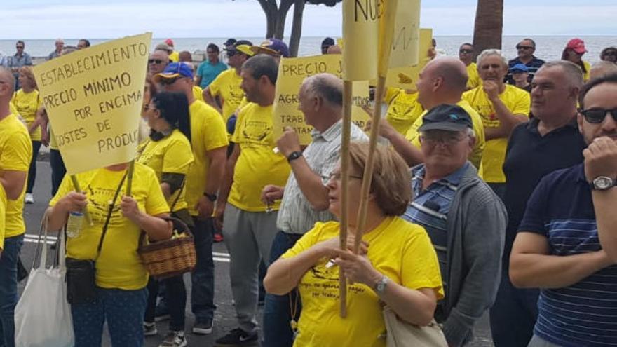 Imágenes de la protesta platanera celebrada ayer en la capital palmera.