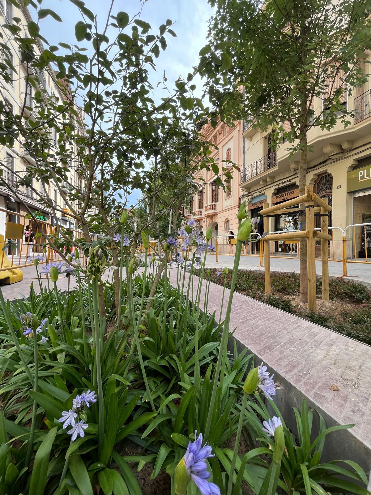 Un escocell del carrer d’Àngel Guimerà