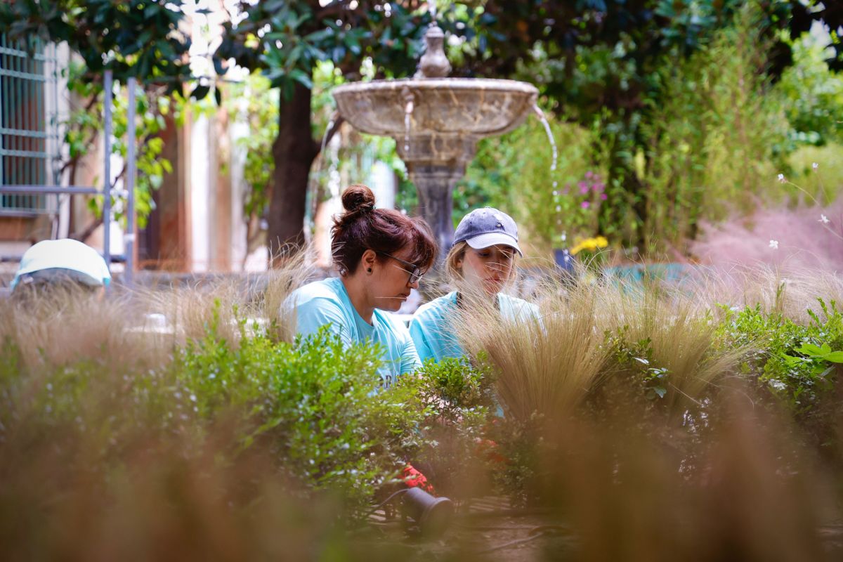 Comienza el montaje de las instalaciones de Flora 2025