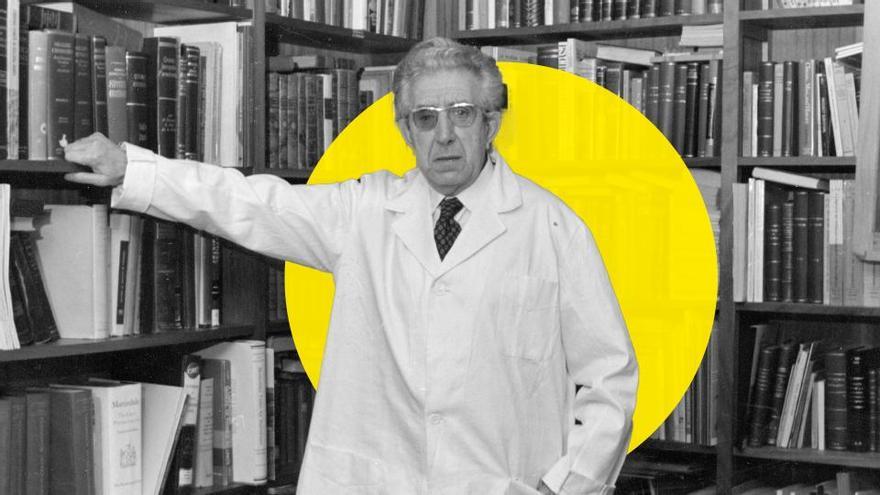Faustino Cordón, el Darwin español