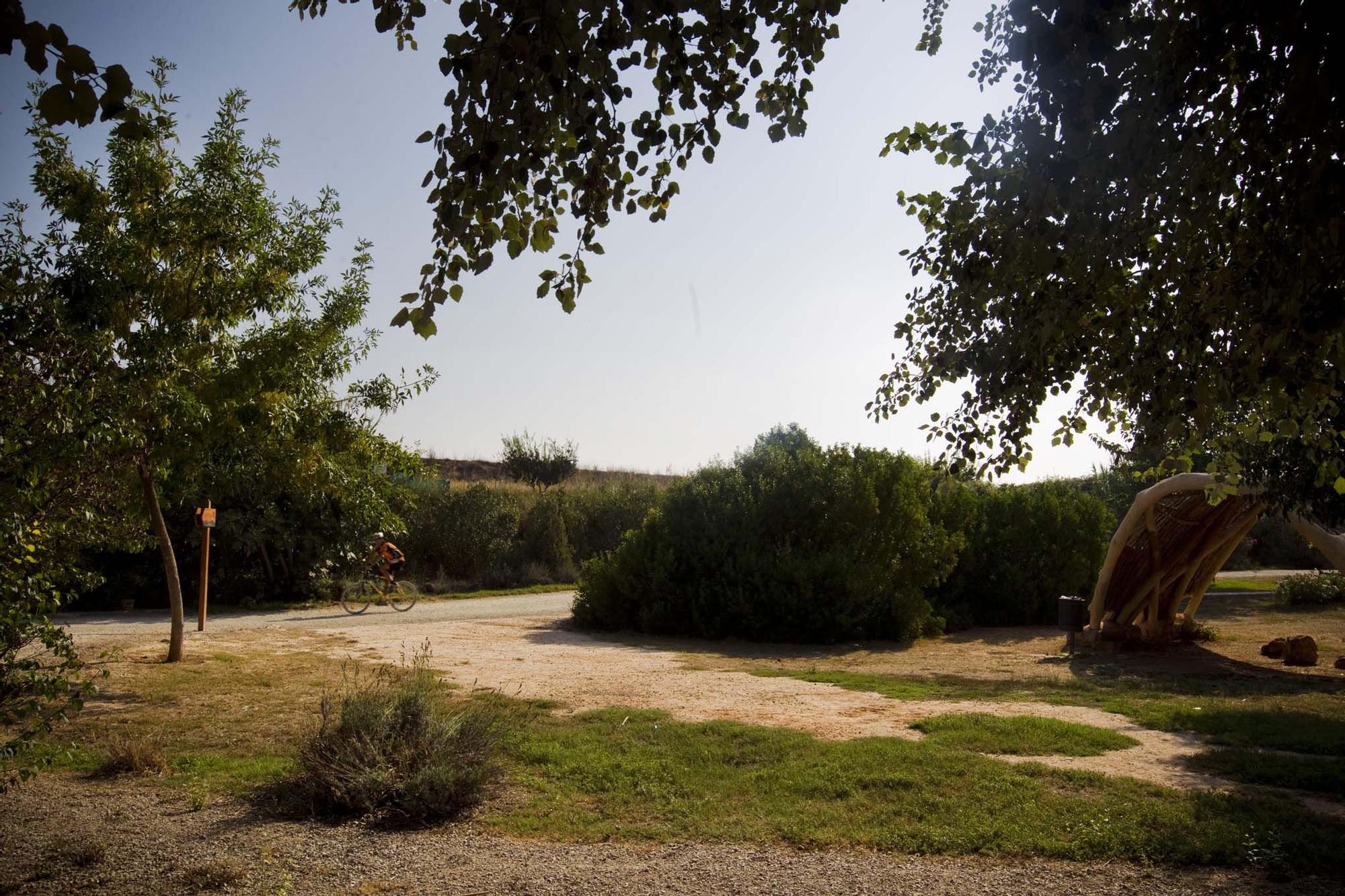 Un paseo por el Parc Natural del Túria