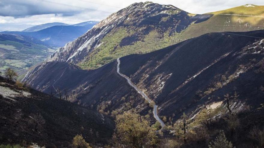 La &quot;mayoría de los incendios en Asturias&quot; buscan la regeneración de terrenos para pastos