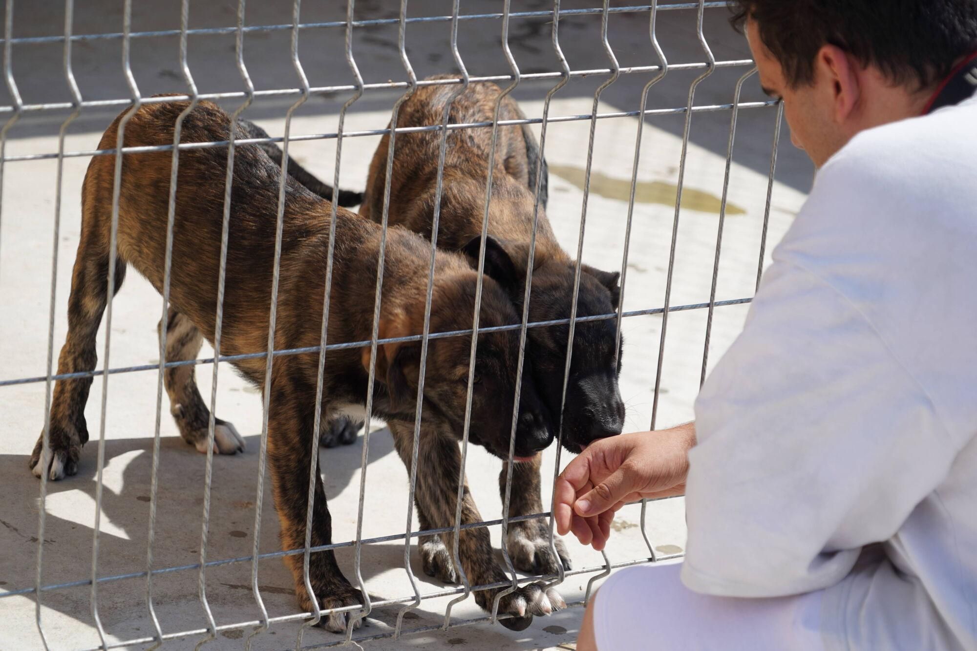 Visita a las instalaciones del nuevo Centro de Protección Animal