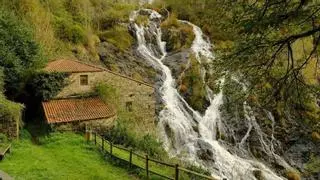 Este bosque gallego repleto de castaños y robles culmina en una de las cascadas más bonitas de Galicia: a 1 hora de A Coruña