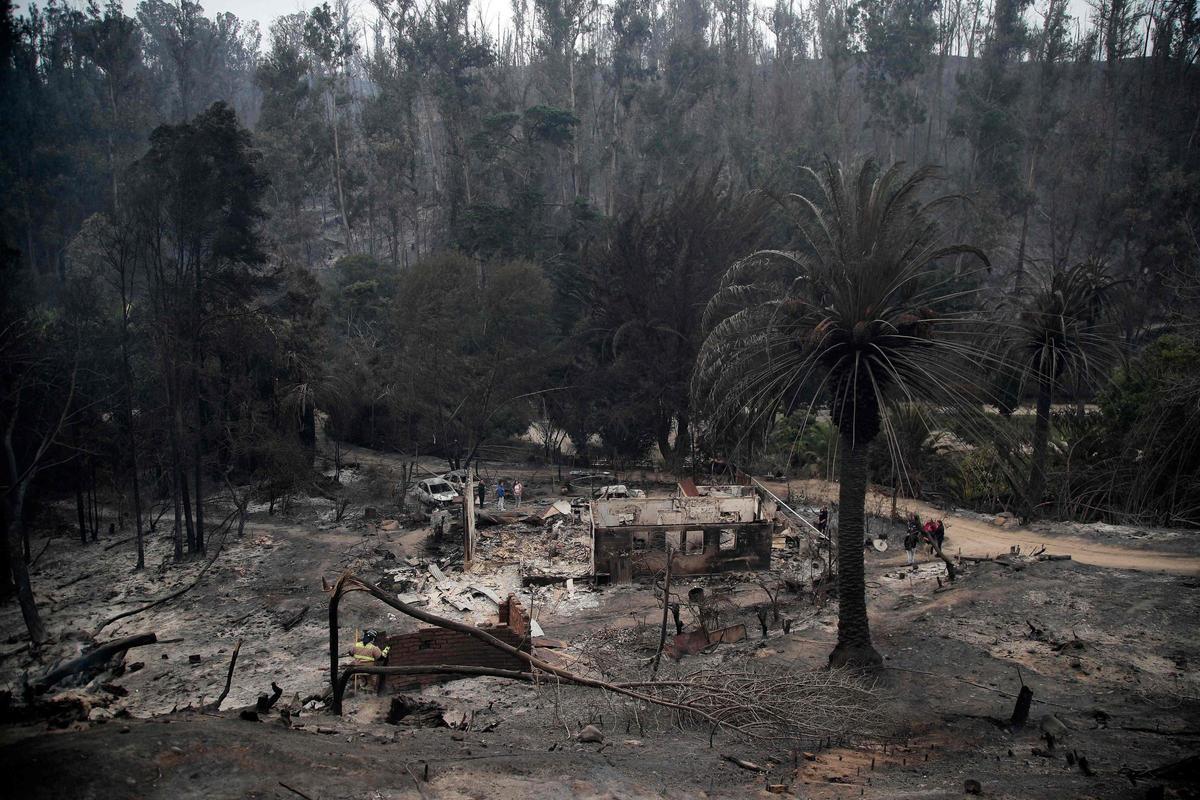 Vista del Jardín Botánico después de un incendio forestal en Viña del Mar, Chile, tomada el 4 de febrero de 2024. Los chilenos temían el domingo un aumento en el número de muertos por los incendios forestales que azotan el país sudamericano y que ya han matado al menos a 51 personas, dejando cadáveres en la calle y casas destripadas.