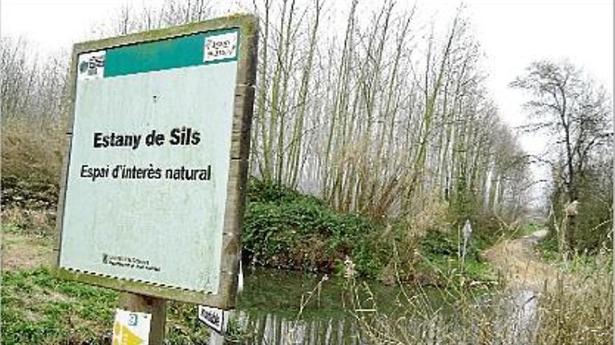 La llacuna principal de l&#039;Estany plena d&#039;aigua després d&#039;estar-ne sense des de l&#039;estiu.