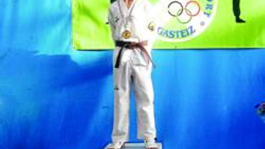 Seis medallas en taekwondo para deportistas del Gimnasio Losan