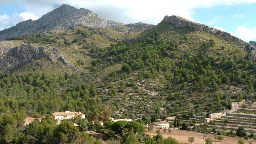 Una panorámica de la finca de Galatzó, que representa casi el 10% de la superficie de Calvià.