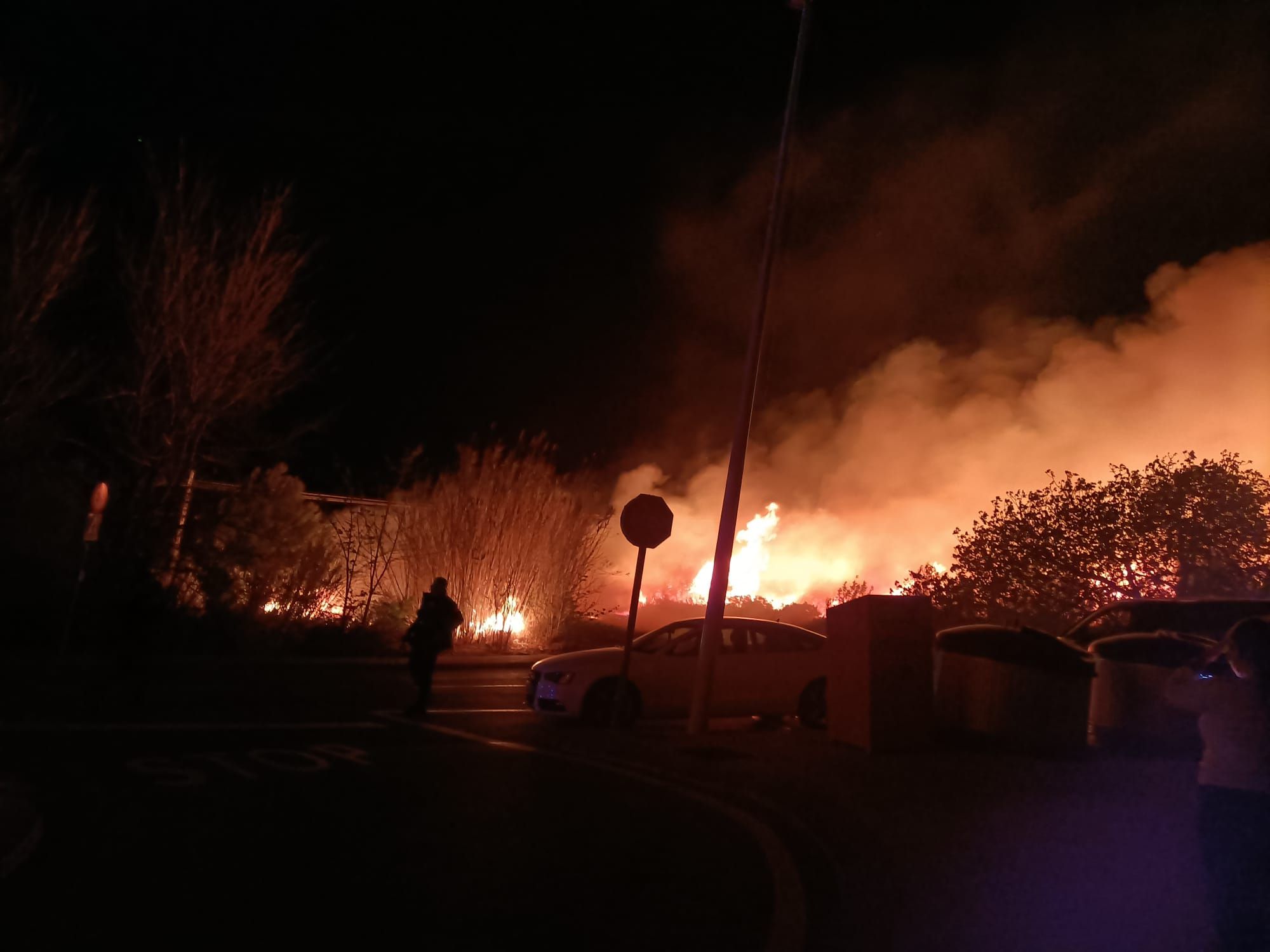 El incendio en Teulada provocado por fuegos artificiales, en imágenes