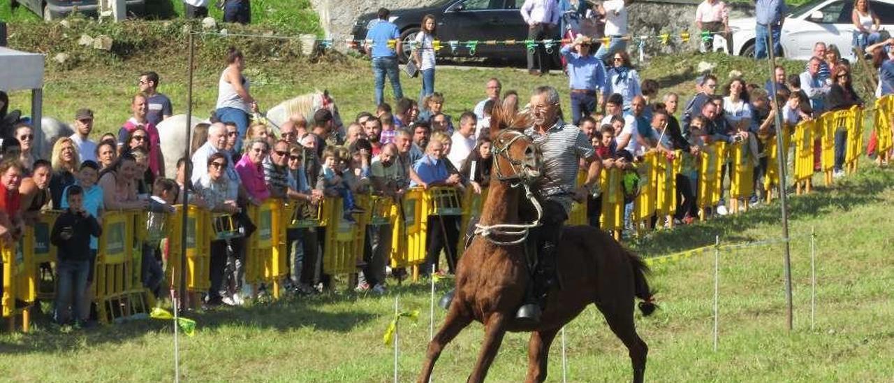 Terapia de caballos en Posada