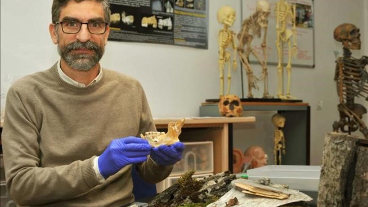 El profesor Antonio Rosas, con algunos de los restos de El Sidrón.