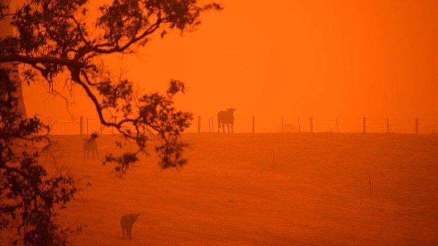 El humo de los incendios forestales de Australia llega a Chile