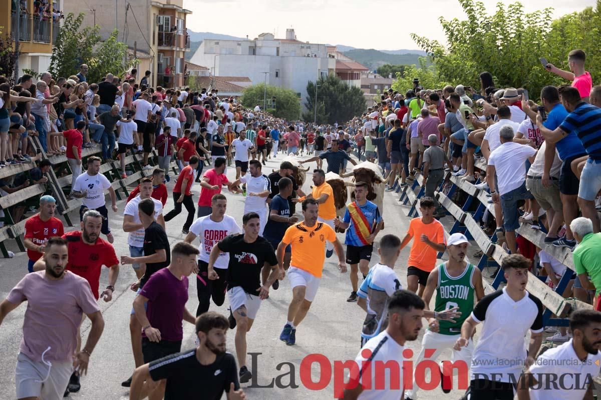 Primer encierro de la Feria del Arroz de Calasparra