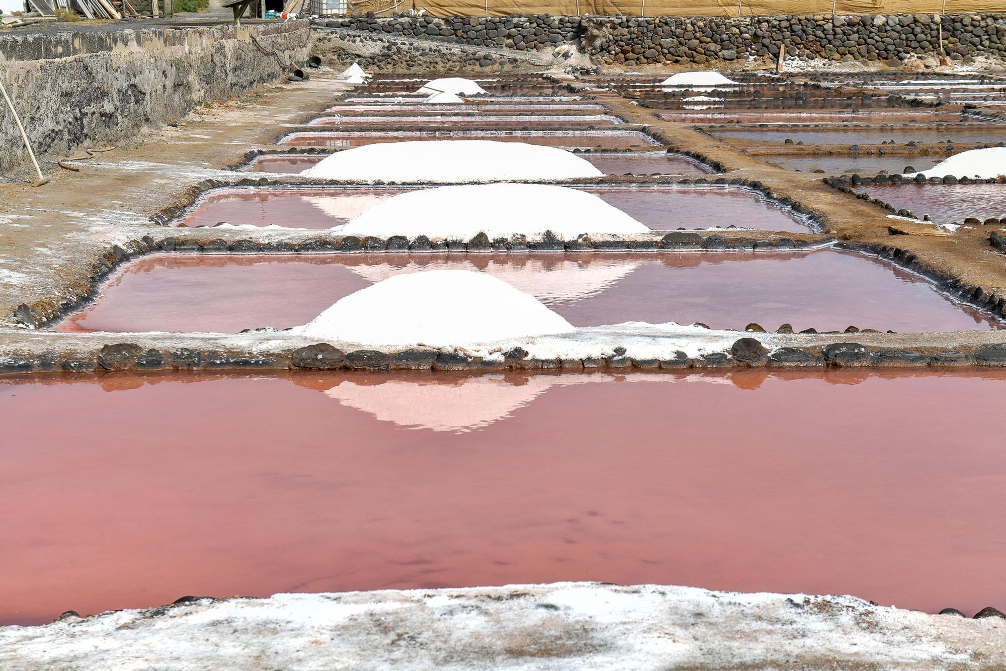 Salinas de Vargas