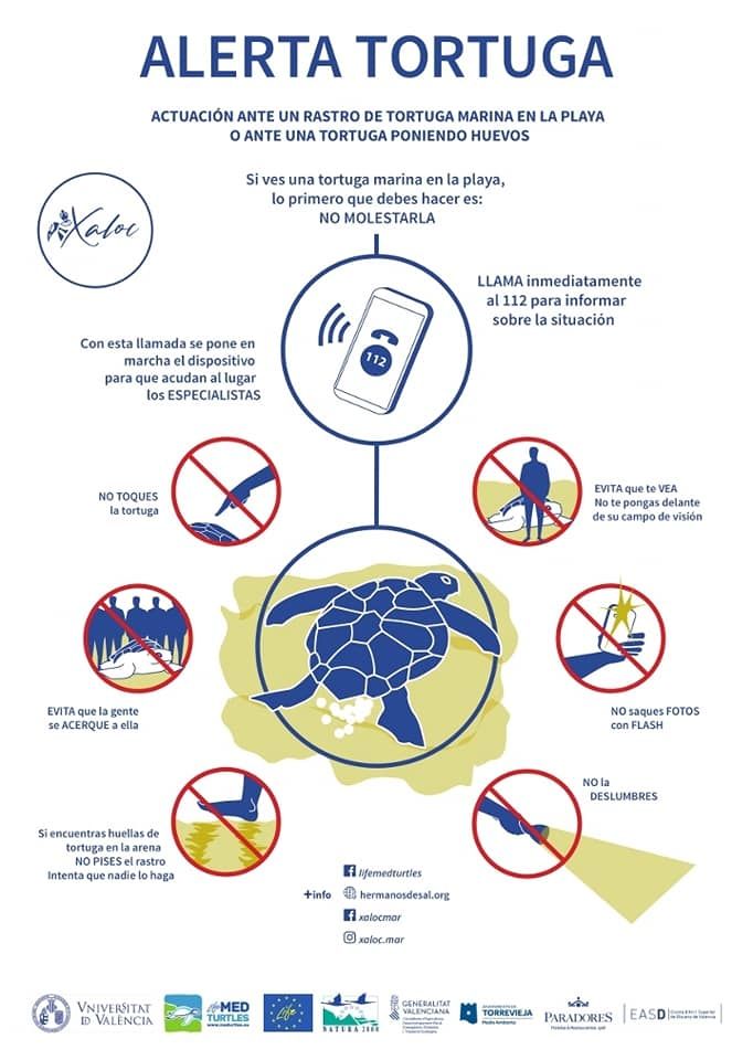 Protocolo de actuación ante el hallazgo de un rastro de tortuga o ante una tortuga poniendo huevos
