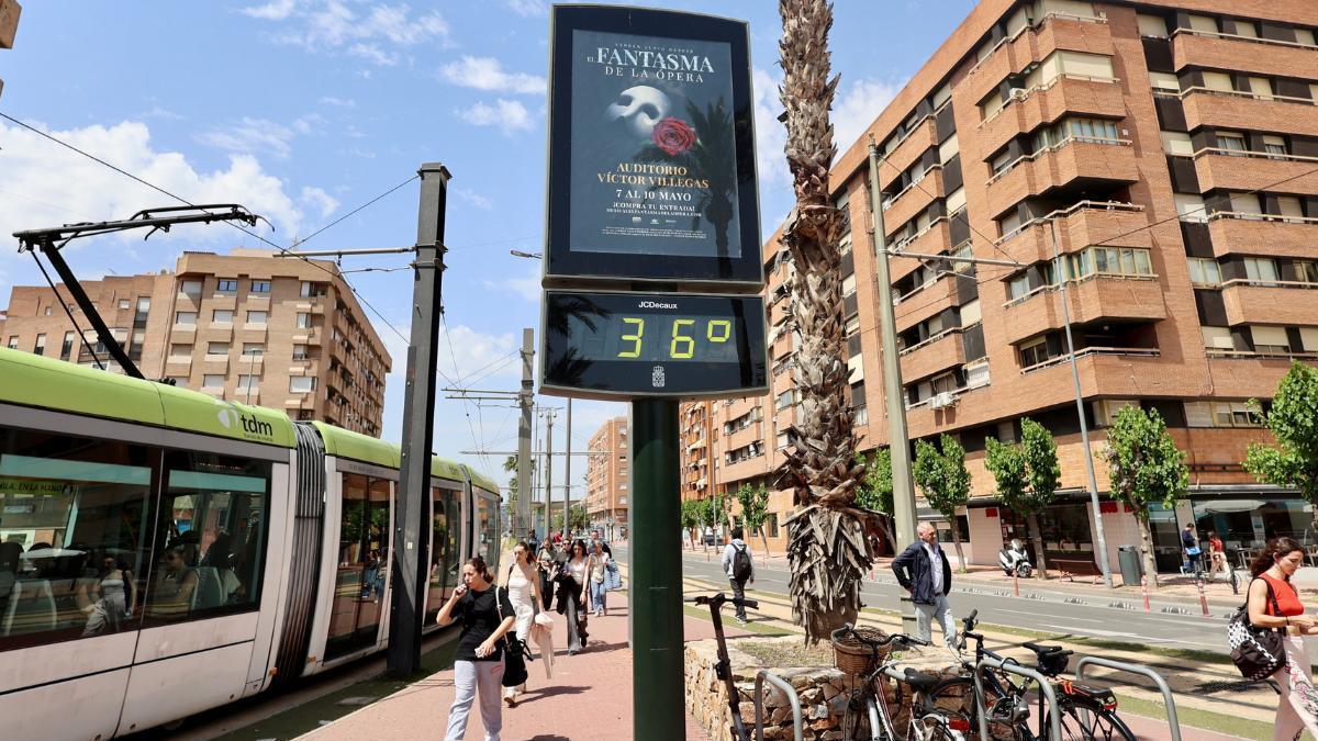 Una imagen de archivo de un termómetro en Juan Carlos I que cifra en 36 grados la temperatura.