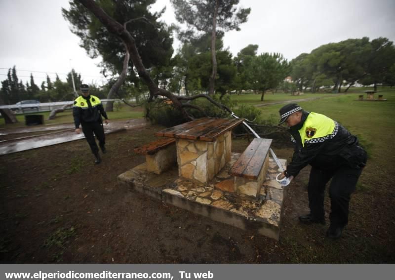 GALERÍA DE FOTOS -- Efectos de las tormentas en la provincia