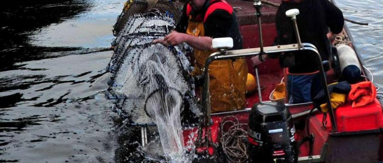 Dos pescadores de lamprea largan sus nasas butrón a las aguas del Ulla, en Pontecesures. // Noé Parga