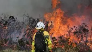 Tres fuegos forestales en Lugo: el Ejército se suma a la extinción del incendio de Baleira