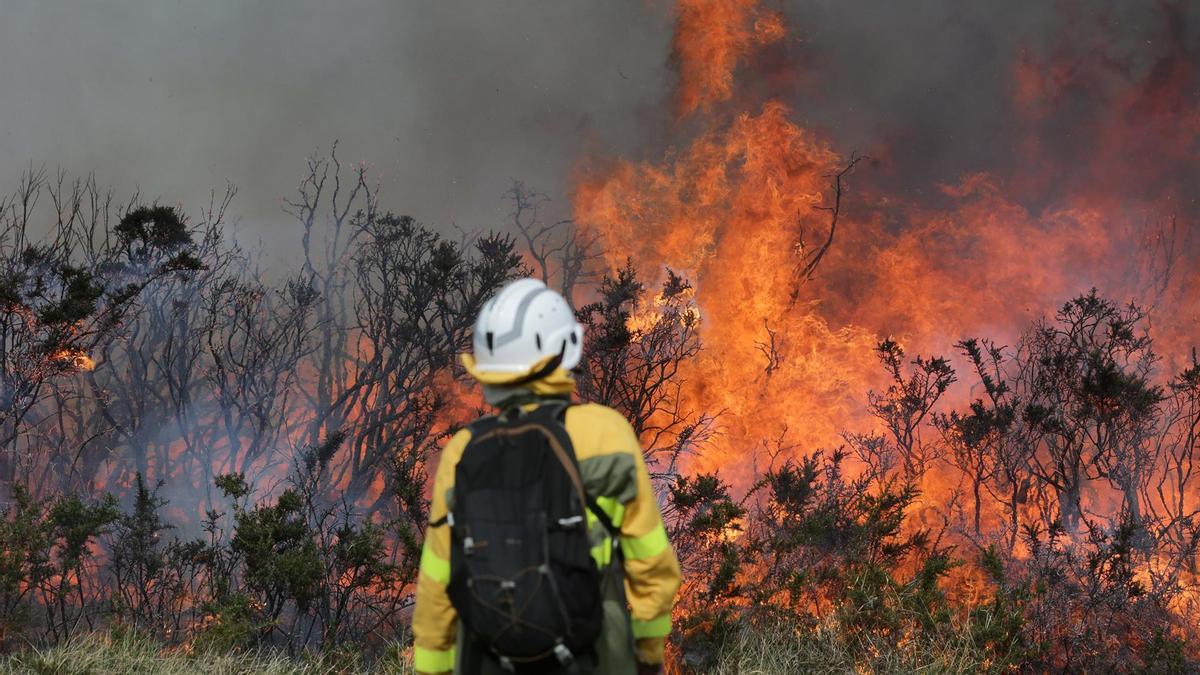 Un efectivo de la Xunta con base en Becerreá trabajando para extinguir las llamas en un incendio forestal