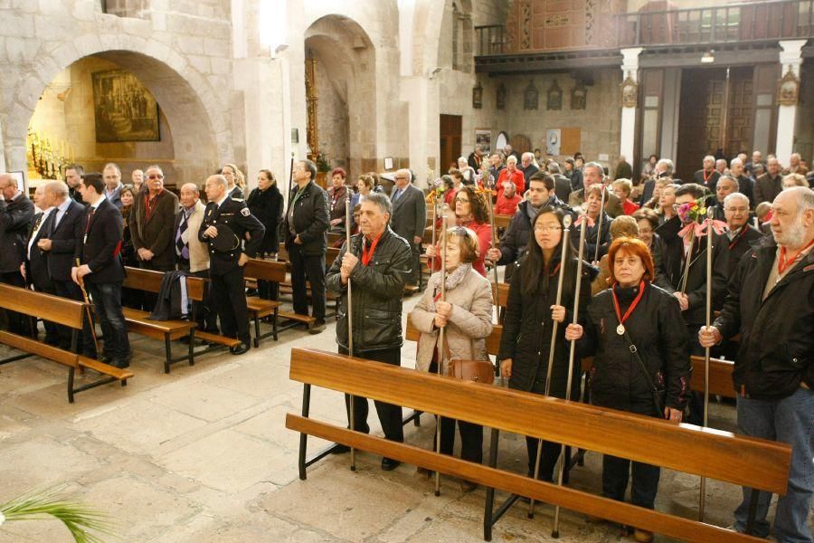 Rogativa de San Marcos en Zamora