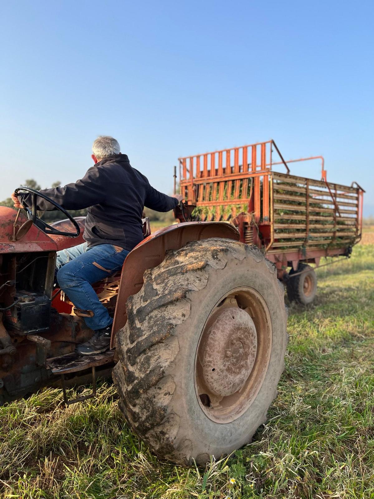 Balcó de Cabrera: quan el camp puja a taula