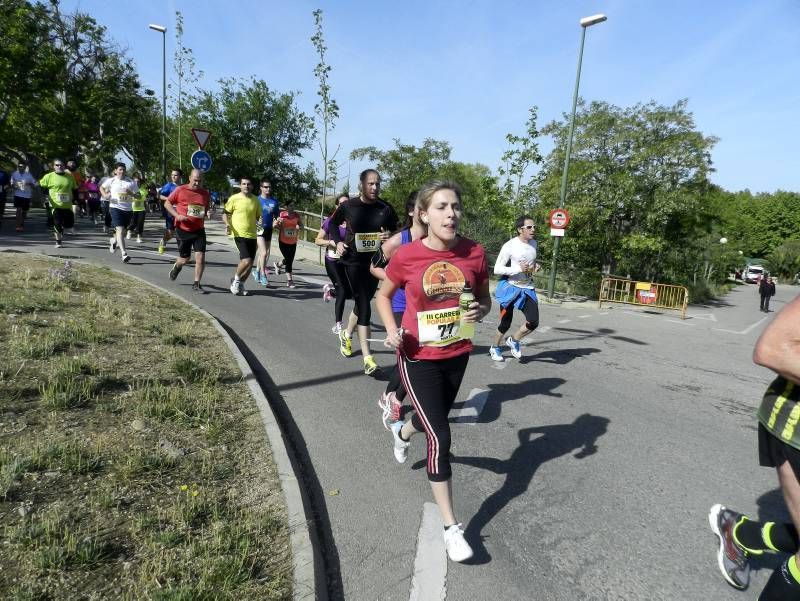 Fotogalería: III Carrera Popular El Rincón