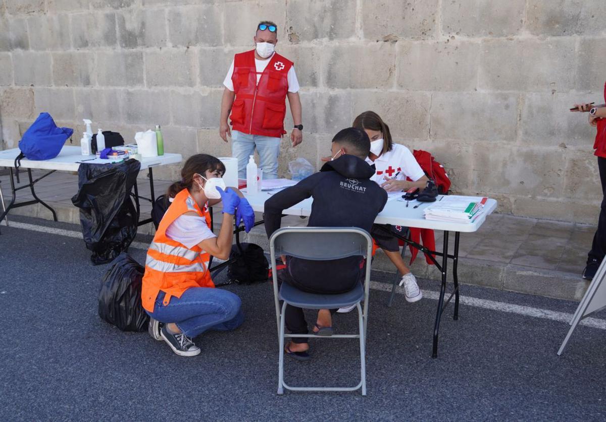 Esperando la llegada de los extranjeros en un puerto de Balears. | CRUZ ROJA
