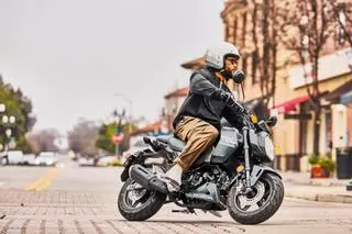 Si buscas una moto ‘distinta’ atento a la nueva Honda MSX125 Grom