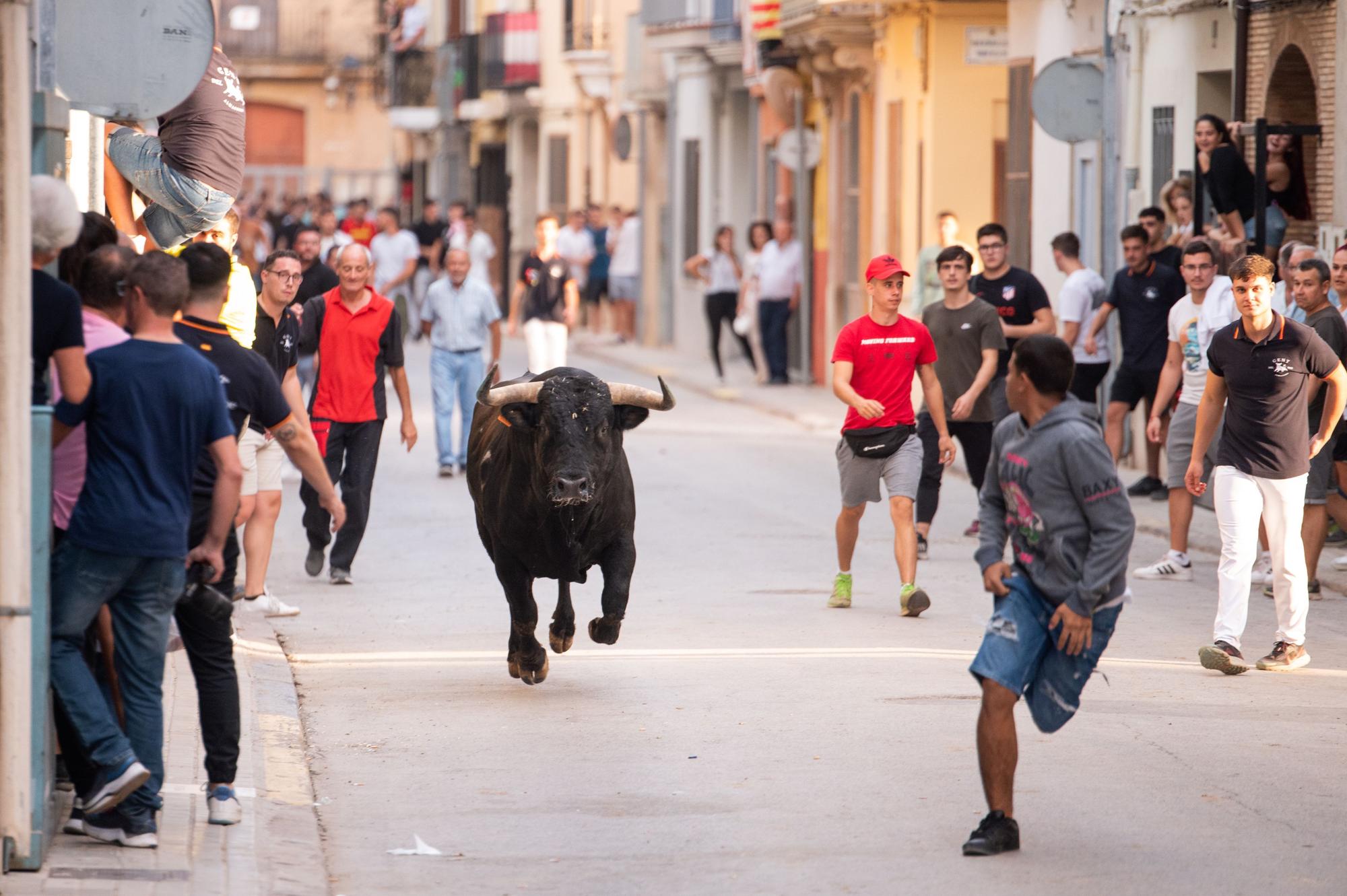 La tarde taurina del martes de las fiestas de Almassora, en imágenes