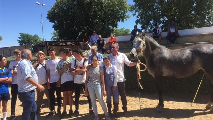 El hípico acoge la feria del ganado