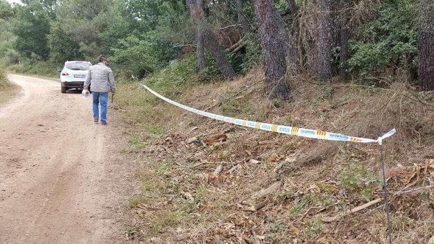 Miguel Medela supervisó ayer la actuación en la pista de Rodelas.