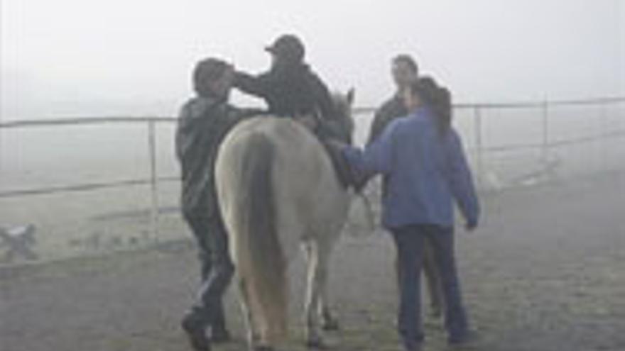 Un programa utiliza a los caballos como terapia