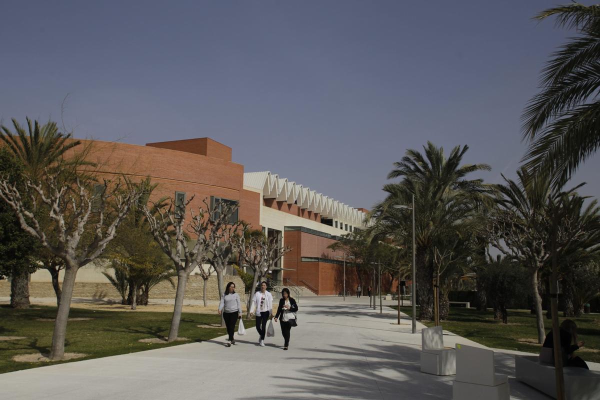 Universidad Miguel Hernández de Elche.