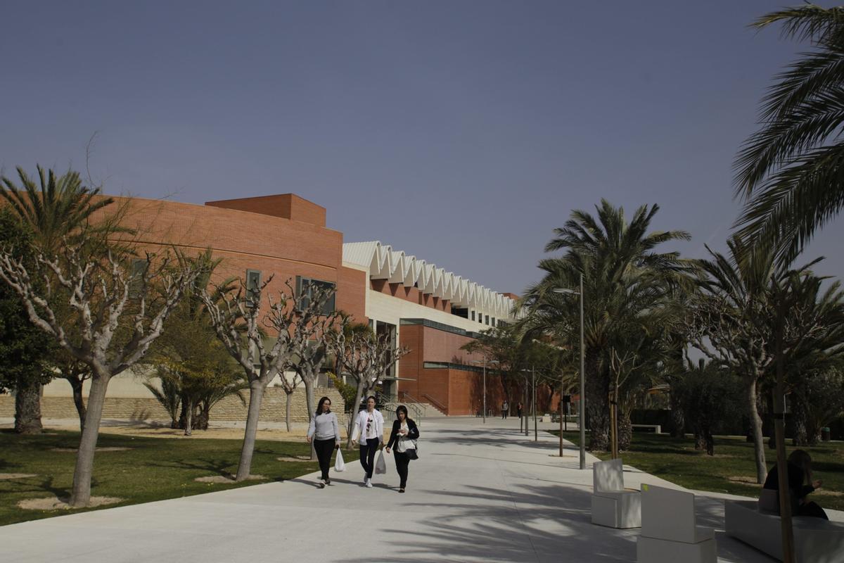 Universidad Miguel Hernández de Elche