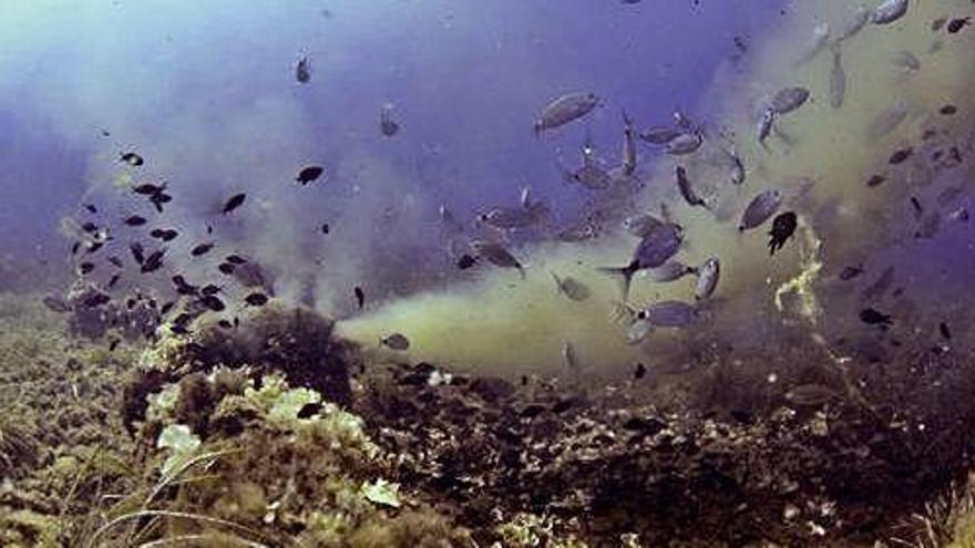 Un vertido de materia contaminante en la depuradora de Formentera, en una imagen de archivo.