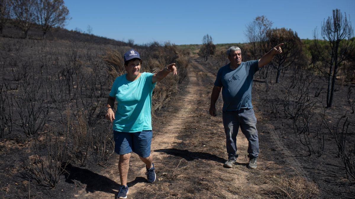 INCENDIO FORESTAL DE LOSACIO. IFLOSACIO. VECINOS QUE AYUDARON EN LA EXTINCION. / EMILIO FRAILE