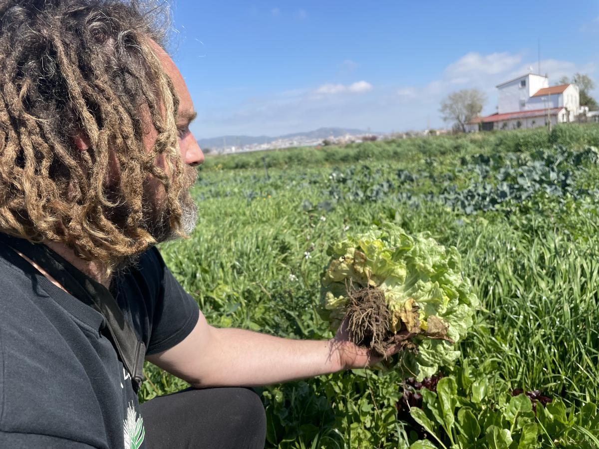 El agricultor Olivier François Chantry, en el Parc Agrari del Baix Llobregat.