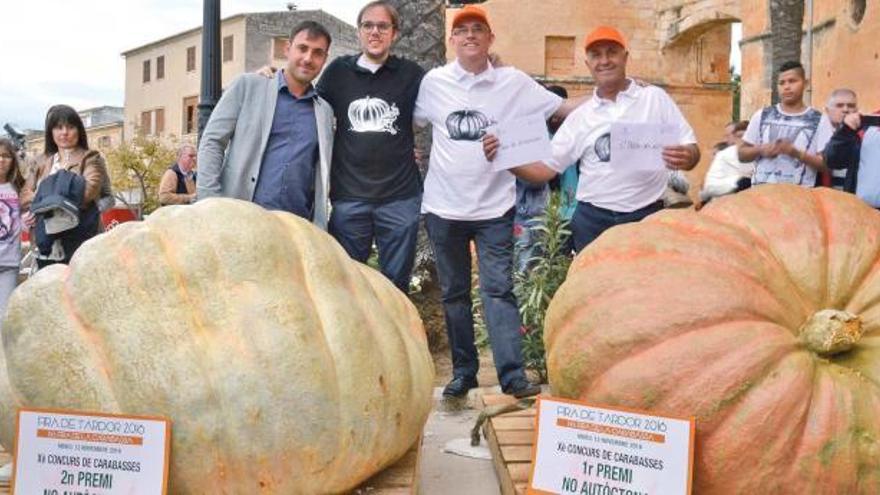 Halbtonner-Klasse: Die 500-Kilo-Kürbisse auf dem Firó Bord